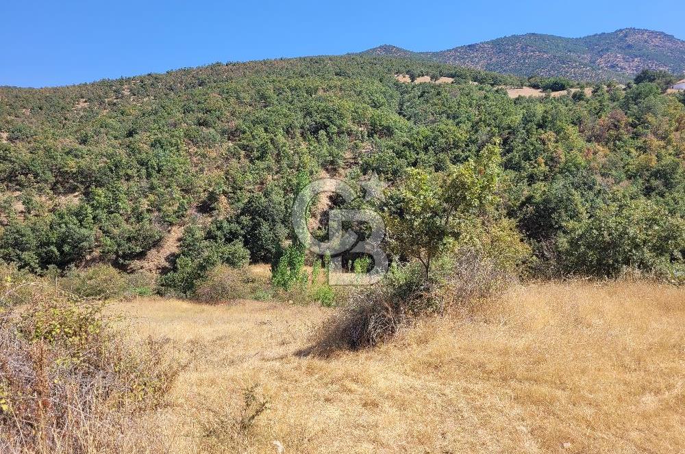 manisa kula satılık tarla