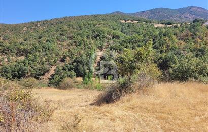 manisa kula satılık tarla