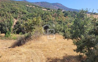 manisa kula satılık tarla