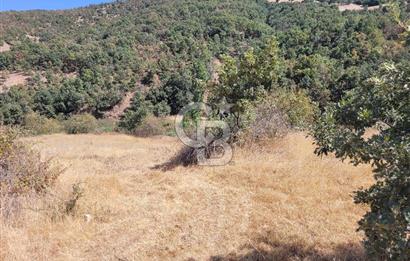 manisa kula satılık tarla