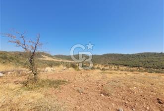 izmir torbalı satılık tarla. - 8 - 318826