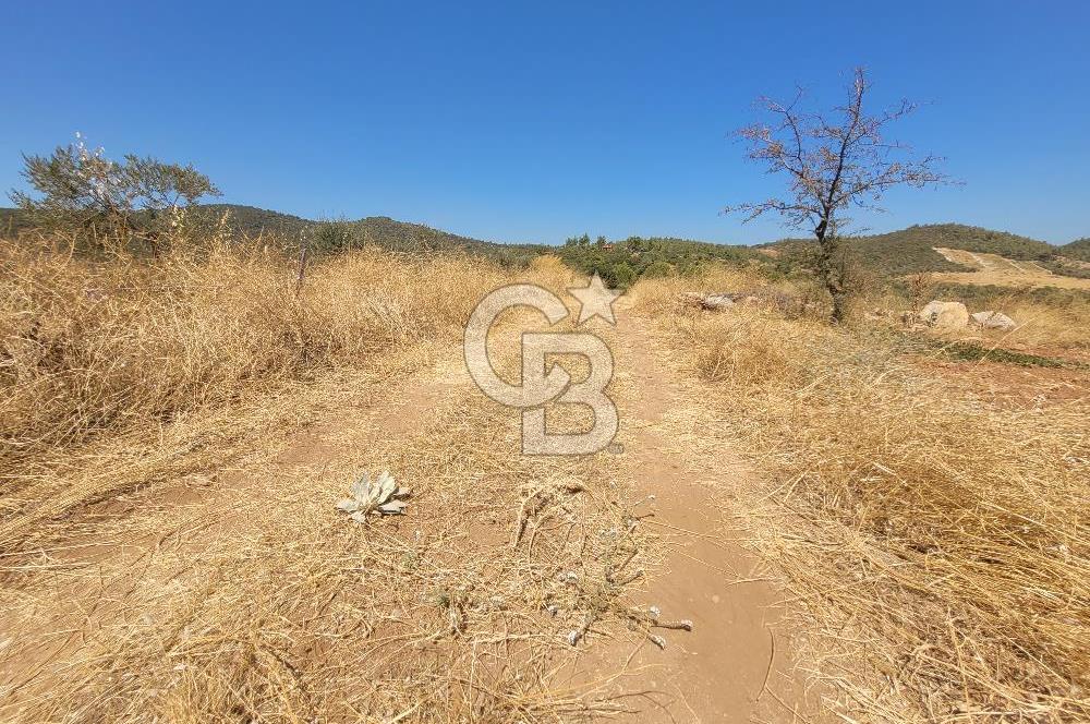 izmir torbalı satılık tarla.