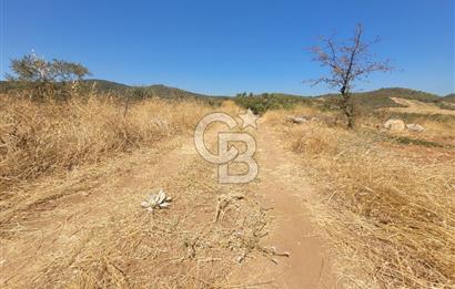 izmir torbalı satılık tarla.