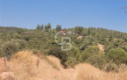 izmir torbalı satılık tarla.