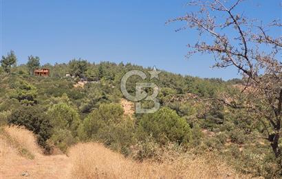 izmir torbalı satılık tarla.