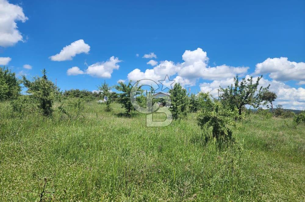 Edirne Keşan Sazlıdere Satılık Müstakil Tapu 548 M2 Arsa