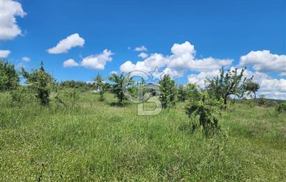 Edirne Keşan Sazlıdere Satılık Müstakil Tapu 548 M2 Arsa