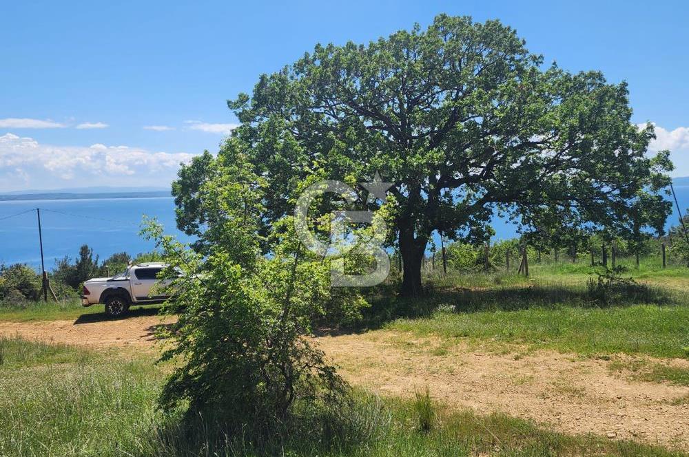 Edirne Keşan Sazlıdere Satılık Müstakil Tapu 548 M2 Arsa