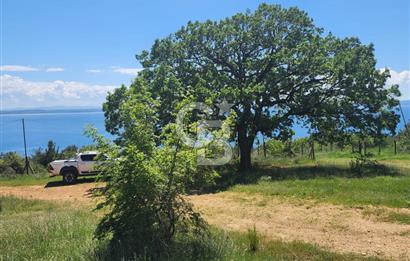 Edirne Keşan Sazlıdere Satılık Müstakil Tapu 548 M2 Arsa