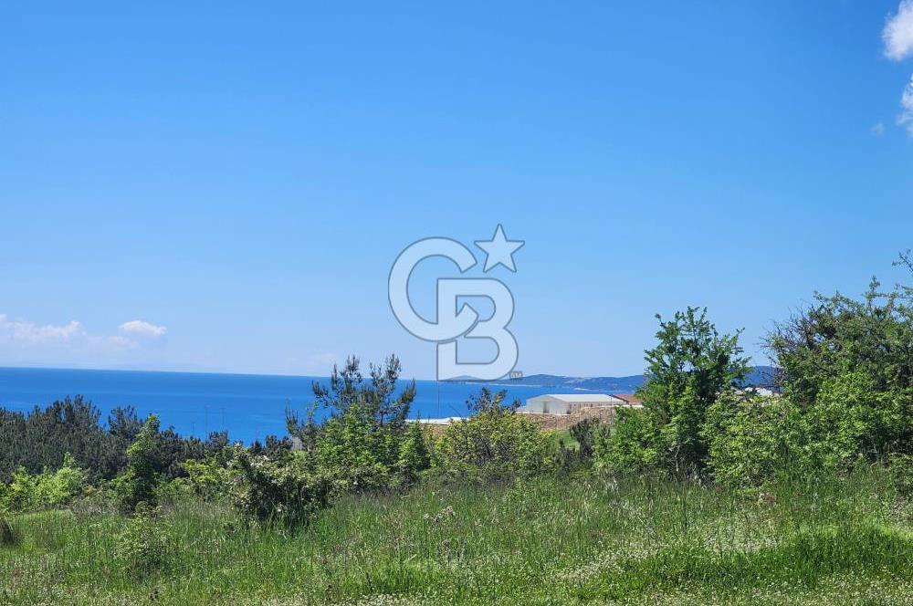 Edirne Keşan Sazlıdere Satılık Müstakil Tapu 548 M2 Arsa