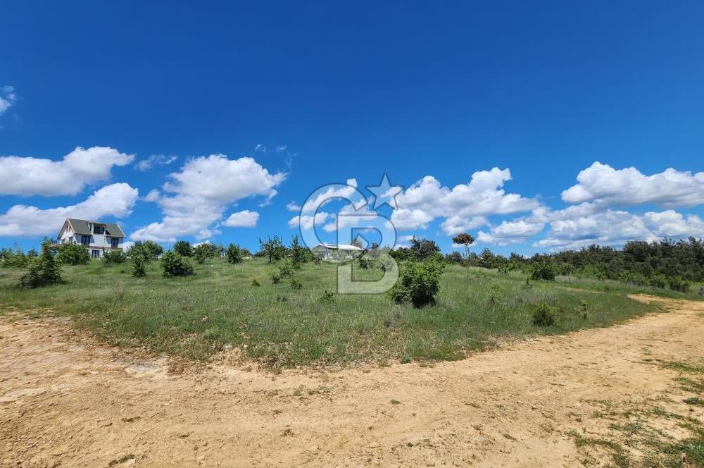 Edirne Keşan Sazlıdere Satılık Müstakil Tapu 548 M2 Arsa