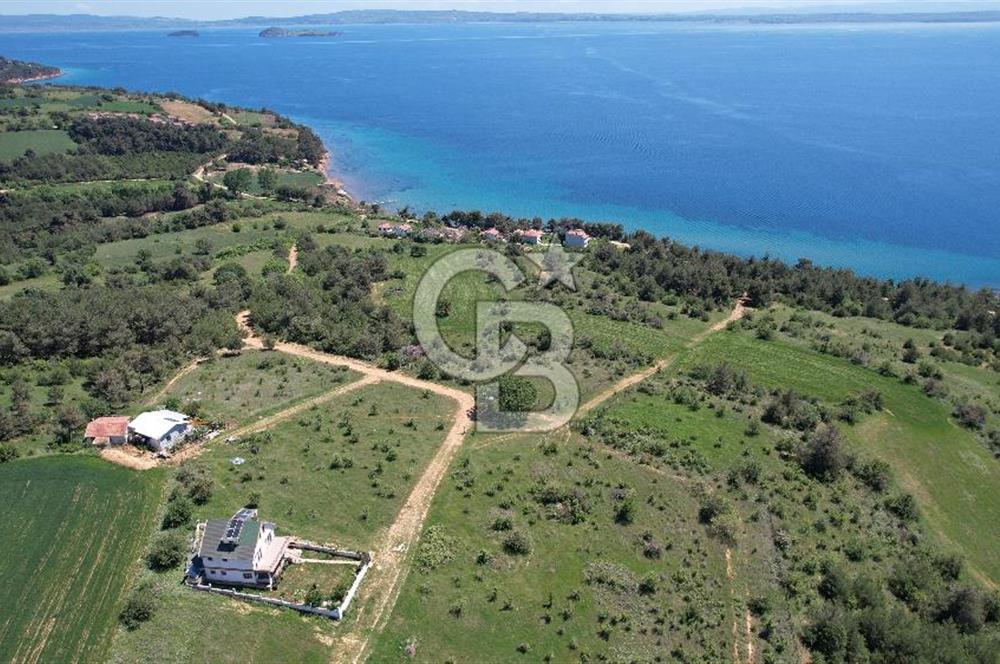 Edirne Keşan Sazlıdere Satılık Müstakil Tapu 548 M2 Arsa