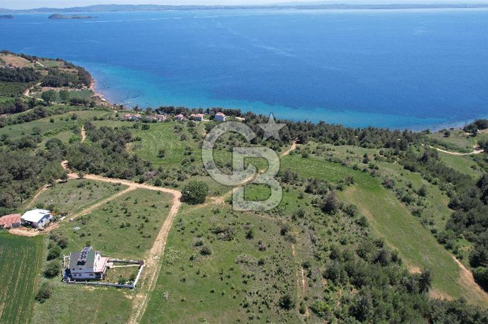 Edirne Keşan Sazlıdere Satılık Müstakil Tapu 548 M2 Arsa