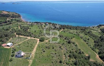 Edirne Keşan Sazlıdere Satılık Müstakil Tapu 548 M2 Arsa