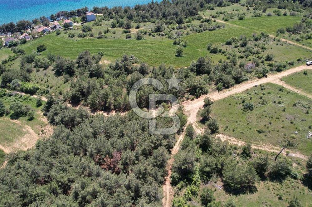 Edirne Keşan Sazlıdere Satılık Müstakil Tapu 548 M2 Arsa