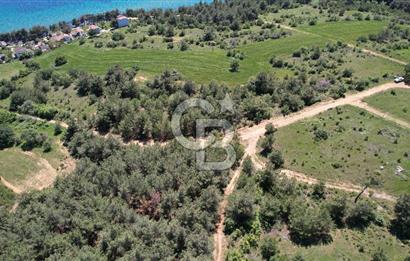 Edirne Keşan Sazlıdere Satılık Müstakil Tapu 548 M2 Arsa