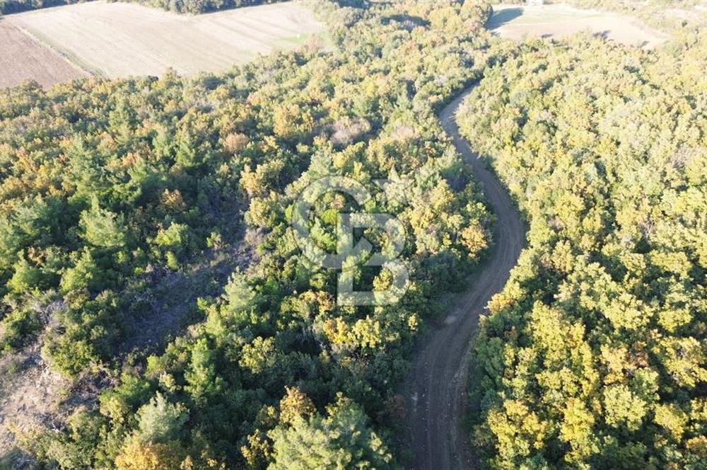 LAPSEKİ GÖKKÖY'DE YOLA CEPHE 6.773M2 SATILIK TARLA