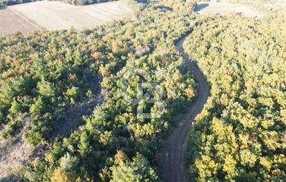 LAPSEKİ GÖKKÖY'DE YOLA CEPHE 6.773M2 SATILIK TARLA