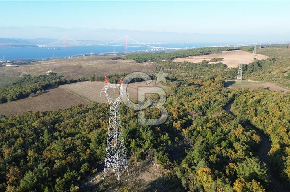 LAPSEKİ GÖKKÖY'DE YOLA CEPHE 6.773M2 SATILIK TARLA