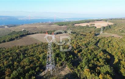 LAPSEKİ GÖKKÖY'DE YOLA CEPHE 6.773M2 SATILIK TARLA