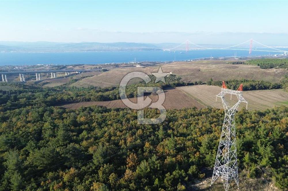 LAPSEKİ GÖKKÖY'DE YOLA CEPHE 6.773M2 SATILIK TARLA