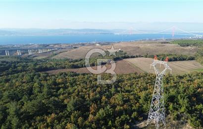 LAPSEKİ GÖKKÖY'DE YOLA CEPHE 6.773M2 SATILIK TARLA