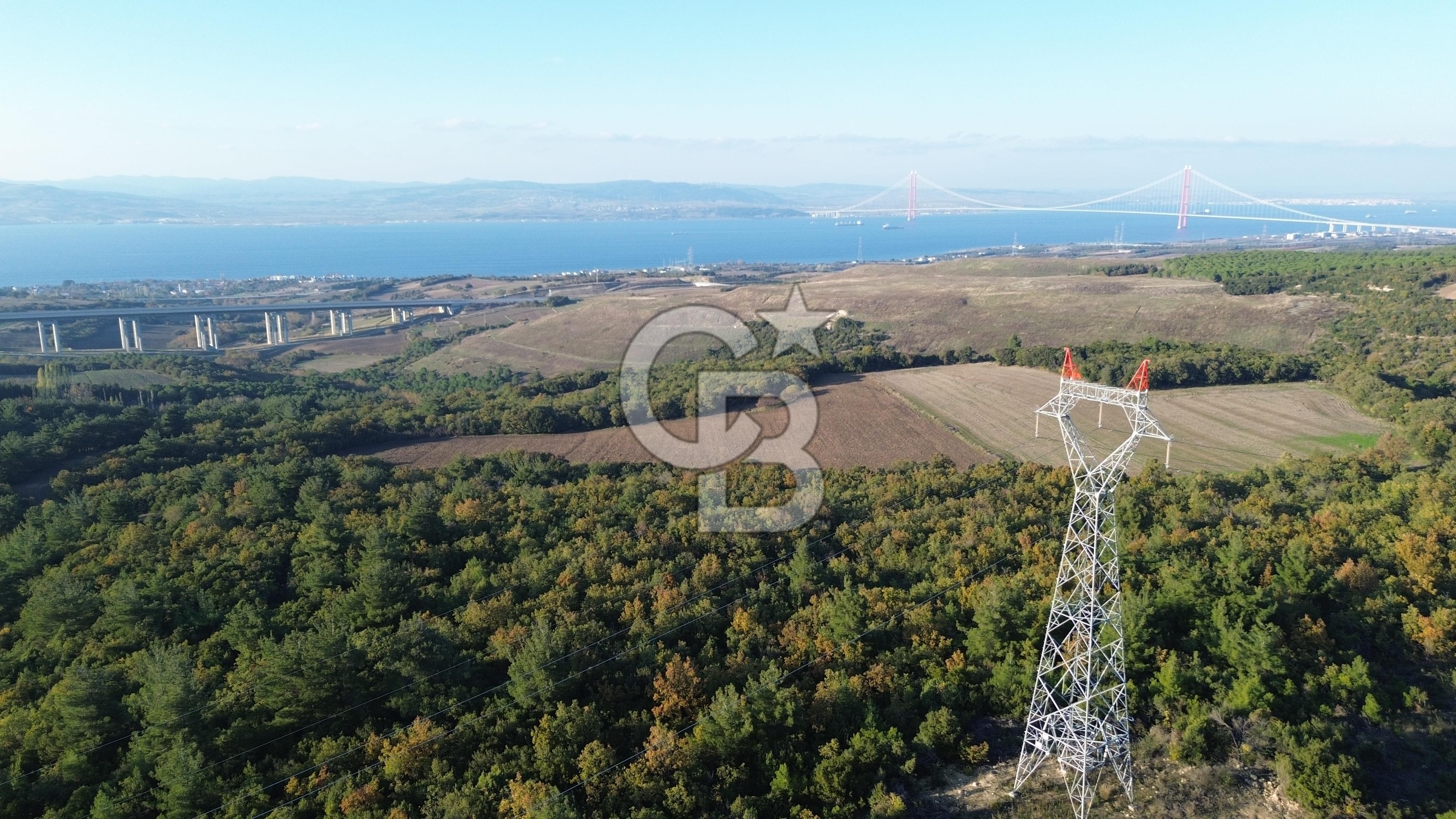 LAPSEKİ GÖKKÖY'DE YOLA CEPHE 6.773M2 SATILIK TARLA