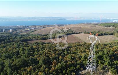 LAPSEKİ GÖKKÖY'DE YOLA CEPHE 6.773M2 SATILIK TARLA