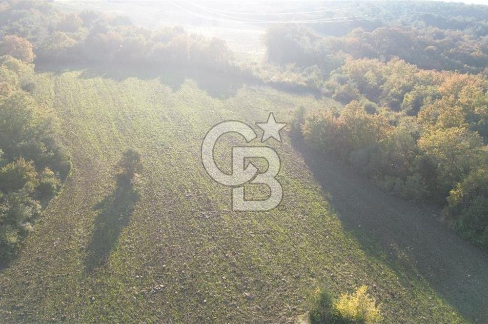 LAPSEKİ GÖKKÖY'DE YOLA CEPHE 6.773M2 SATILIK TARLA