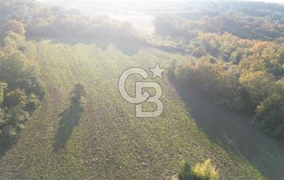 LAPSEKİ GÖKKÖY'DE YOLA CEPHE 6.773M2 SATILIK TARLA