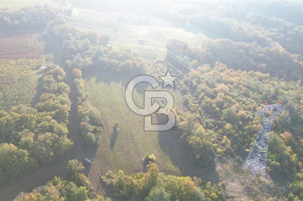 LAPSEKİ GÖKKÖY'DE YOLA CEPHE 6.773M2 SATILIK TARLA