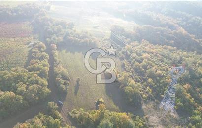 LAPSEKİ GÖKKÖY'DE YOLA CEPHE 6.773M2 SATILIK TARLA