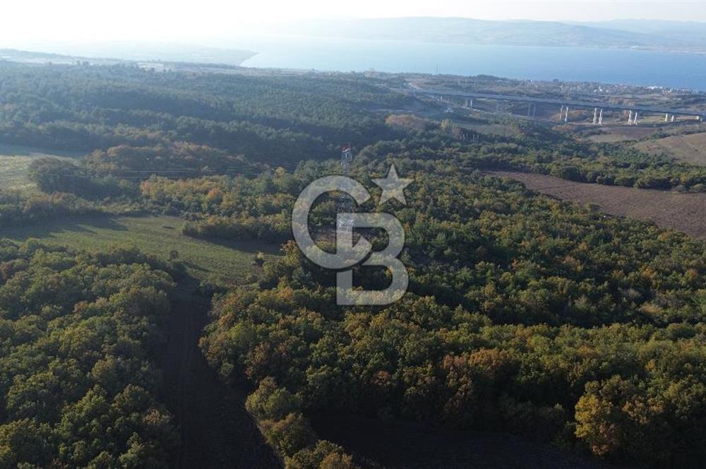 LAPSEKİ GÖKKÖY'DE 5.457 M2 SATILIK TARLA