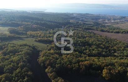 LAPSEKİ GÖKKÖY'DE 5.457 M2 SATILIK TARLA