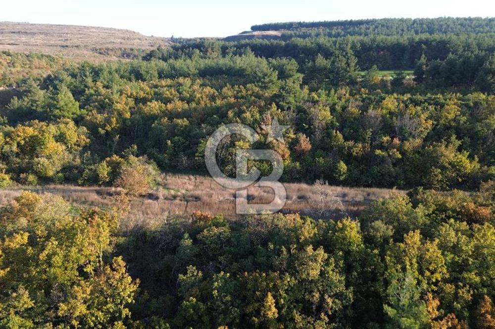 LAPSEKİ GÖKKÖY'DE 5.457 M2 SATILIK TARLA