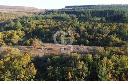 LAPSEKİ GÖKKÖY'DE 5.457 M2 SATILIK TARLA