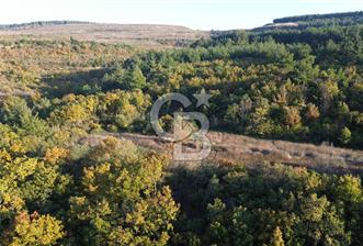 LAPSEKİ GÖKKÖY'DE 5.457 M2 SATILIK TARLA - 3 - 318836