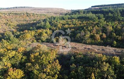 LAPSEKİ GÖKKÖY'DE 5.457 M2 SATILIK TARLA