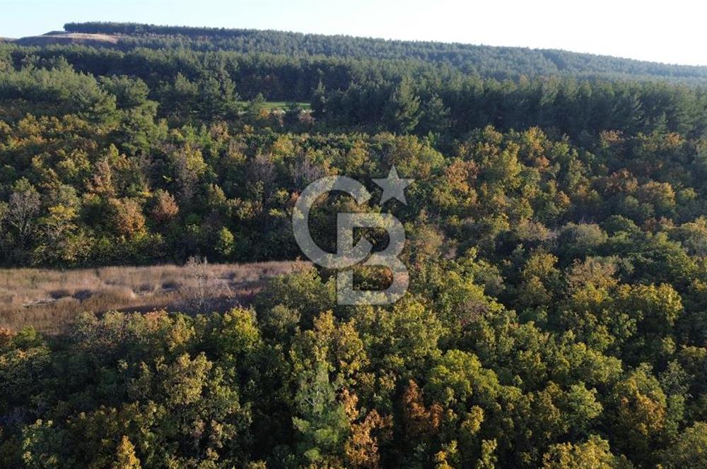 LAPSEKİ GÖKKÖY'DE 5.457 M2 SATILIK TARLA