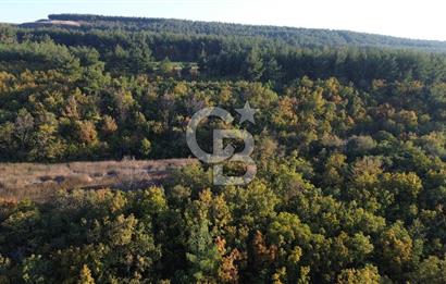 LAPSEKİ GÖKKÖY'DE 5.457 M2 SATILIK TARLA