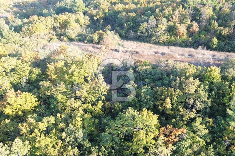 LAPSEKİ GÖKKÖY'DE 5.457 M2 SATILIK TARLA