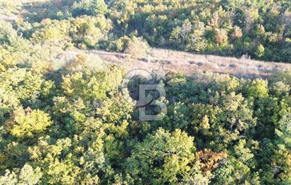 LAPSEKİ GÖKKÖY'DE 5.457 M2 SATILIK TARLA