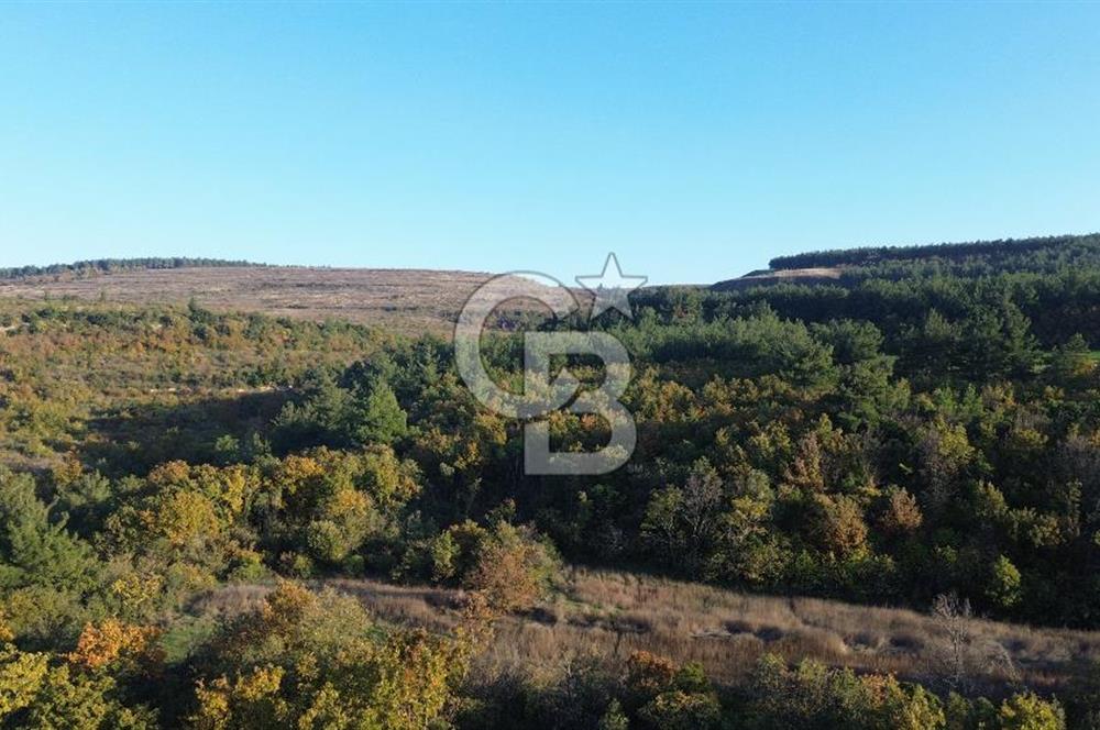 LAPSEKİ GÖKKÖY'DE 5.457 M2 SATILIK TARLA