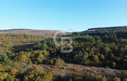 LAPSEKİ GÖKKÖY'DE 5.457 M2 SATILIK TARLA