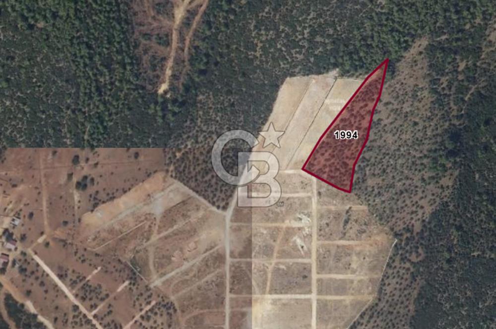 izmir torbalı satılık tarla.