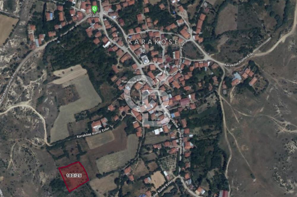 MUSELAND'DAN UŞAK'TA DÖRT DÖNÜM ELMA BAHÇESİ