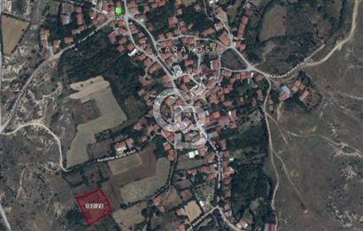 MUSELAND'DAN UŞAK'TA DÖRT DÖNÜM ELMA BAHÇESİ