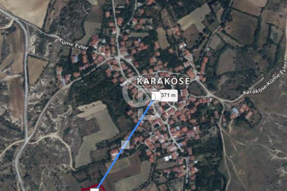 MUSELAND'DAN UŞAK'TA DÖRT DÖNÜM ELMA BAHÇESİ