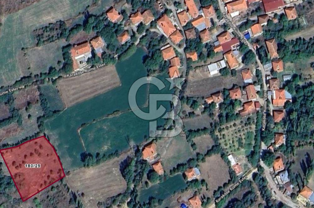 MUSELAND'DAN UŞAK'TA DÖRT DÖNÜM ELMA BAHÇESİ