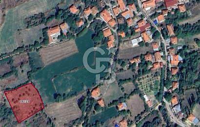 MUSELAND'DAN UŞAK'TA DÖRT DÖNÜM ELMA BAHÇESİ